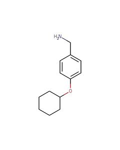 Astatech (4-(CYCLOHEXYLOXY)PHENYL)METHANAMINE; 1G; Purity 95%; MDL-MFCD08699726